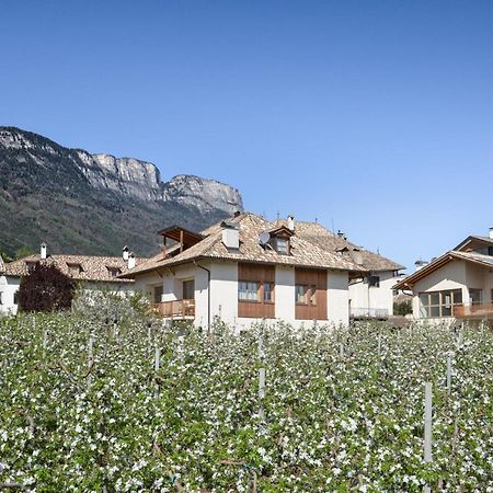 Apartament Pizzol-Hof Appiano Sulla Strada Del Vino Zewnętrze zdjęcie