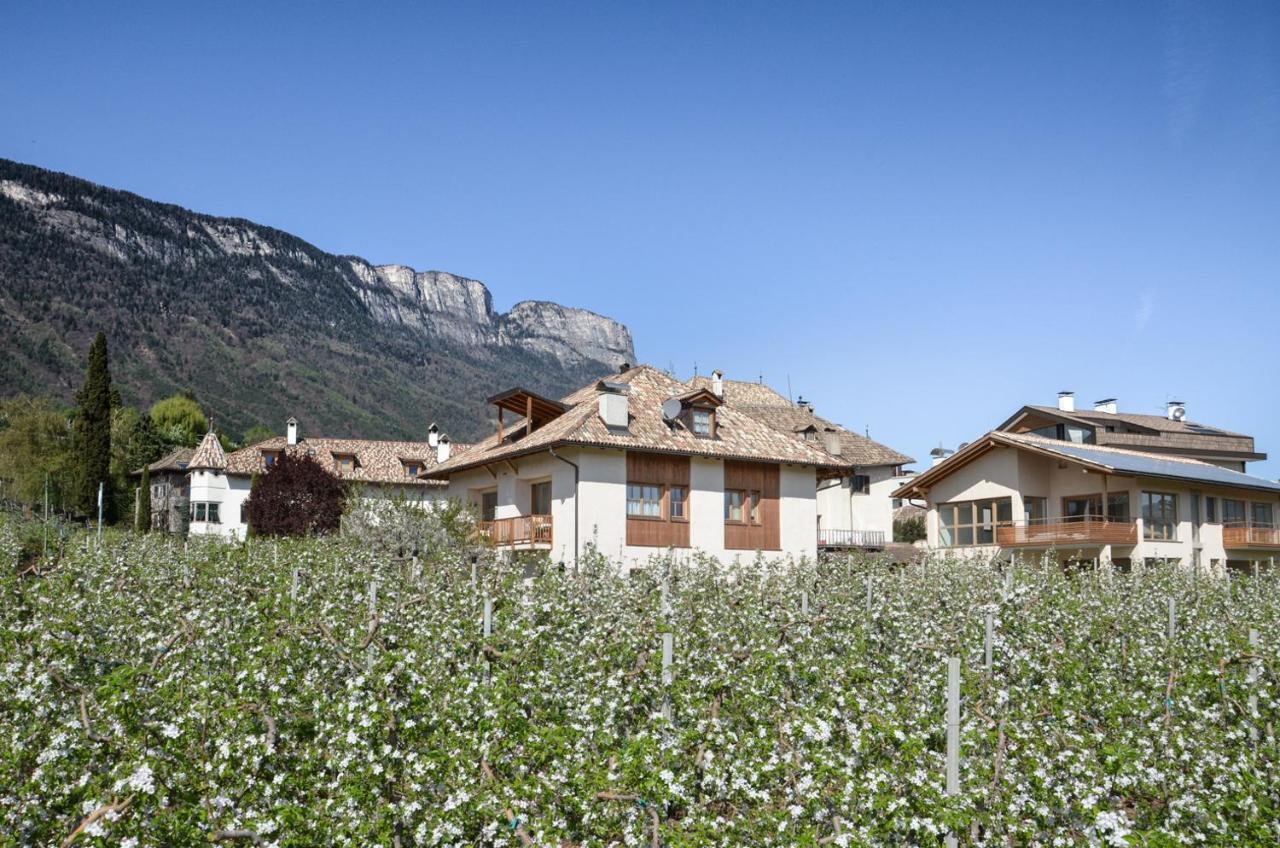 Apartament Pizzol-Hof Appiano Sulla Strada Del Vino Zewnętrze zdjęcie