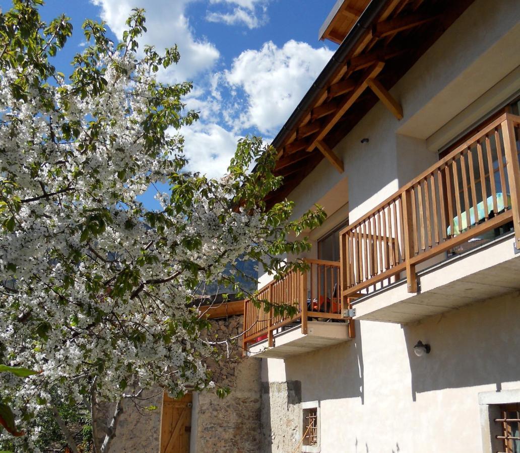 Apartament Pizzol-Hof Appiano Sulla Strada Del Vino Zewnętrze zdjęcie