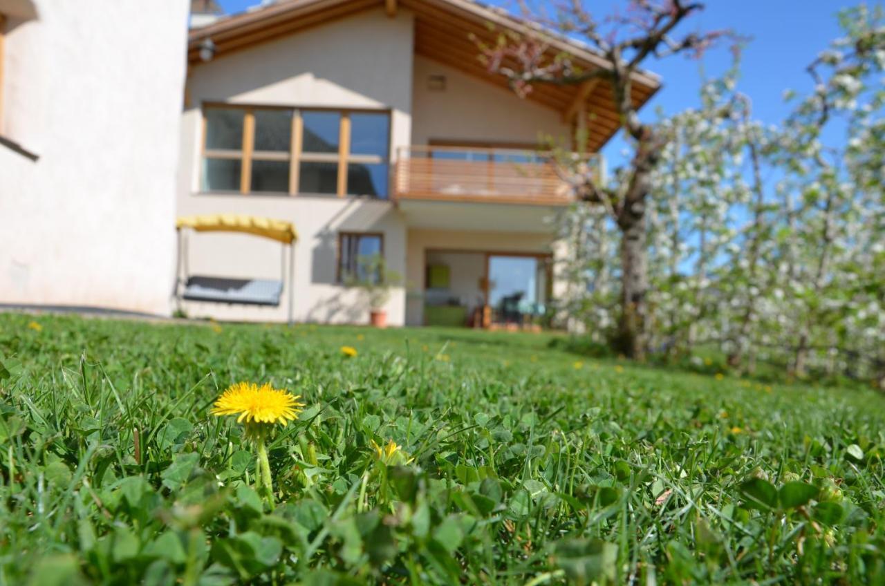 Apartament Pizzol-Hof Appiano Sulla Strada Del Vino Zewnętrze zdjęcie